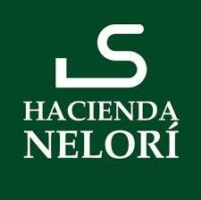 Logo de cliente